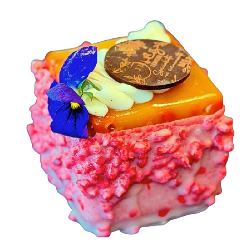 MANGUE-FRAMBOISE-VANILLE-scaled-e1778070904517-removebg-preview
